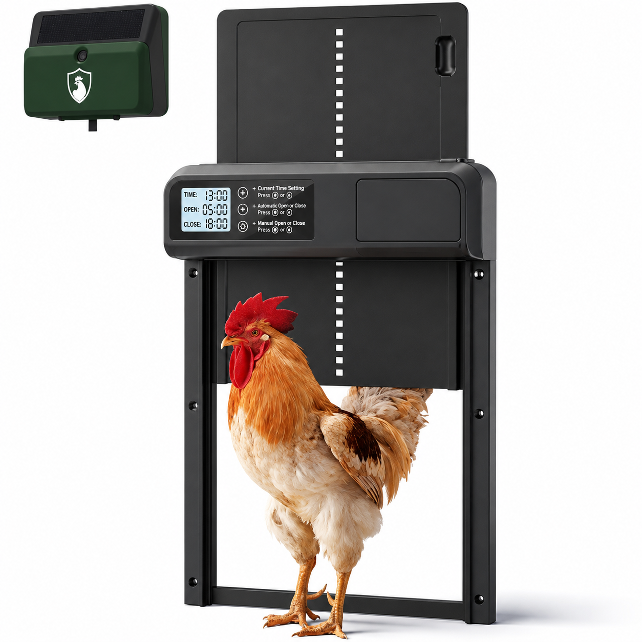 Stallwächter® Automatische Hühnerklappe – Solar, Aluminium, Raubtiersicher & Wetterfest